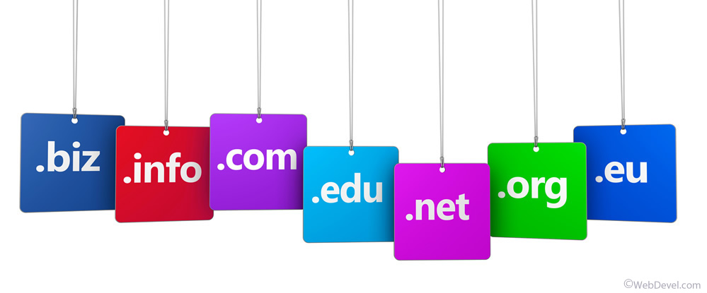 Web Designer Lucknow